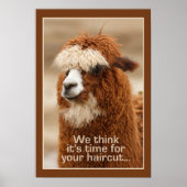 Alpaca poster (Voorkant)