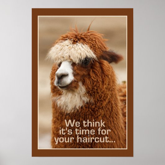 Alpaca poster (Voorkant)