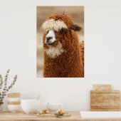 Alpaca poster (Keuken)