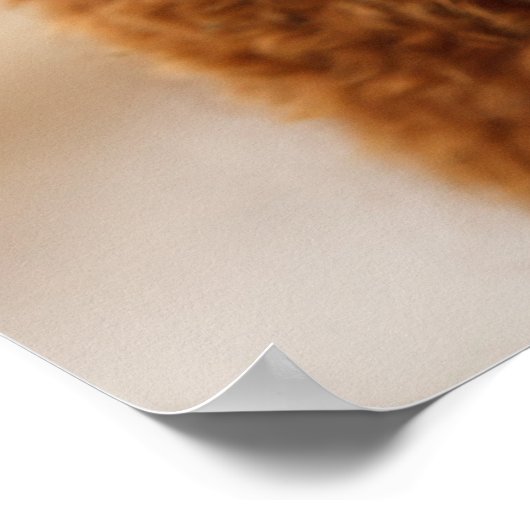 Alpaca poster (Hoek)