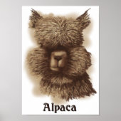 Alpaca Poster (Voorkant)