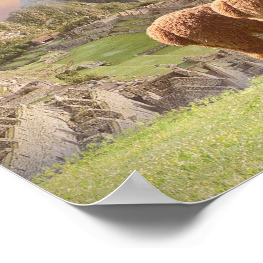 Alpaca Poster (Hoek)