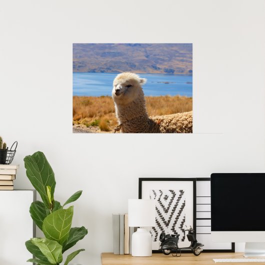 Alpaca poster (Thuiskantoor)
