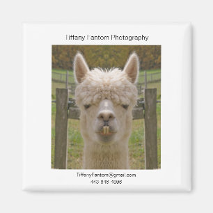 Alpaca Promo Piece Magneet