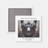 Alpaca Promo Stuk Magneet (Voorkant / Achterkant)