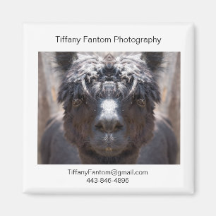 Alpaca Promo Stuk Magneet