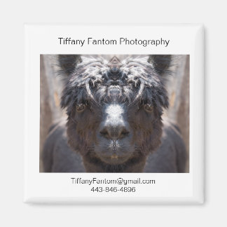 Alpaca Promo Stuk Magneet