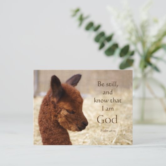 Alpaca Psalm 46:10 Briefkaart (Staand voorkant)