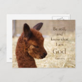 Alpaca Psalm 46:10 Briefkaart (Voorkant / Achterkant)