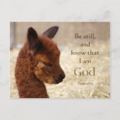 Alpaca Psalm 46:10 Briefkaart (Voorkant)