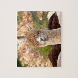 Alpaca Puzzels met Gift Box