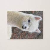 Alpaca Puzzle Analise Legpuzzel (Horizontaal)