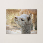Alpaca Puzzle Celeste Legpuzzel (Horizontaal)