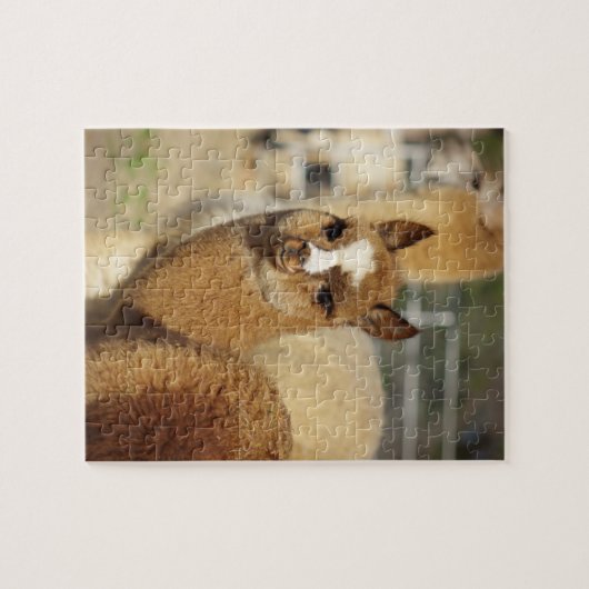 Alpaca Puzzle Juju Legpuzzel (Horizontaal)