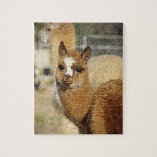 Alpaca Puzzle Juju Legpuzzel
