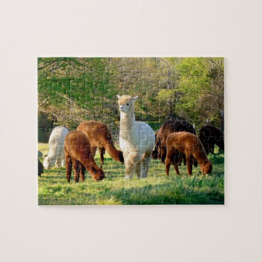 Alpaca Puzzle met Gift Box Legpuzzel (Horizontaal)