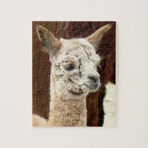 Alpaca Puzzle Rosa Legpuzzel