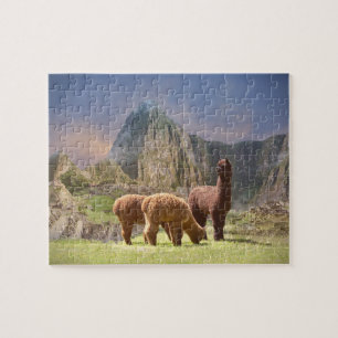 Alpaca Puzzles Legpuzzel