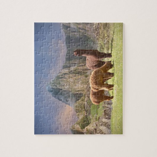 Alpaca Puzzles Legpuzzel (Verticaal)
