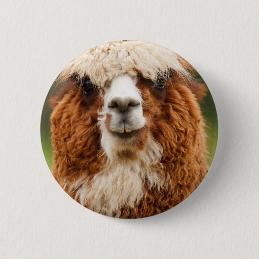 Alpaca Ronde Button 5,7 Cm (Voorkant)