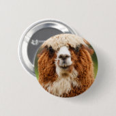 Alpaca Ronde Button 5,7 Cm (Voorkant /achterkant)