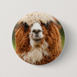 Alpaca Ronde Button 5,7 Cm
