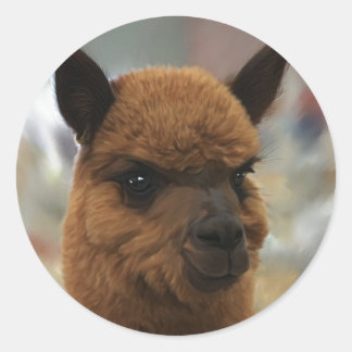 Alpaca Ronde Sticker