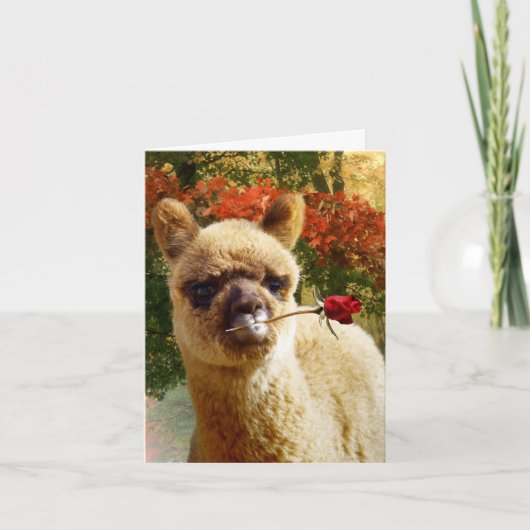 Alpaca Roos Notitiekaarten (Voorkant)