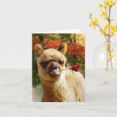 Alpaca Roos Notitiekaarten (Gele Bloem)