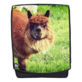 Alpaca Rugtassen (Voorkant)