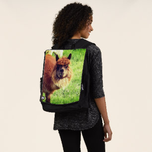 Alpaca Rugtassen