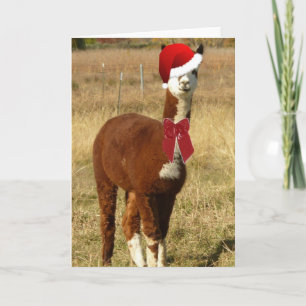 Alpaca Santa Feestdagen Kaart