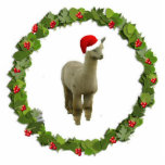 Alpaca Santa Fotobeeldje Ornament<br><div class="desc">Deze kerstversiering is voorzien van een roos grijze alpaca met een kerstmantel in een kerstmis.</div>