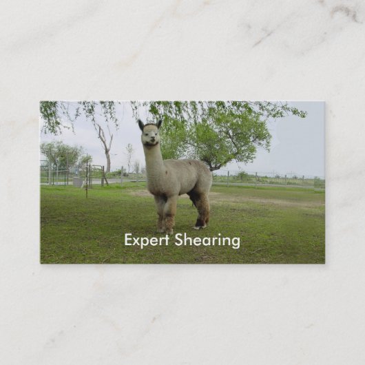 Alpaca Shear Visitekaartje (Voorkant)