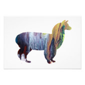 Alpaca silhouette foto afdruk (Voorkant)