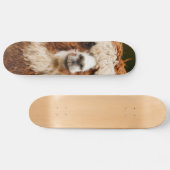 Alpaca Skateboard (Horizontaal)