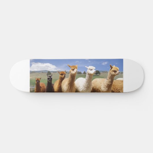 Alpaca Skateboard (Horizontaal)