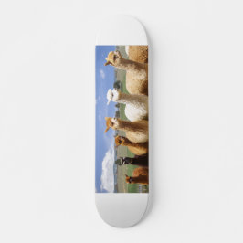 Alpaca Skateboard
