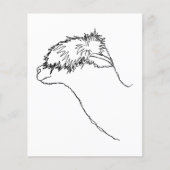 Alpaca Sketch. Flyer (Voorkant)