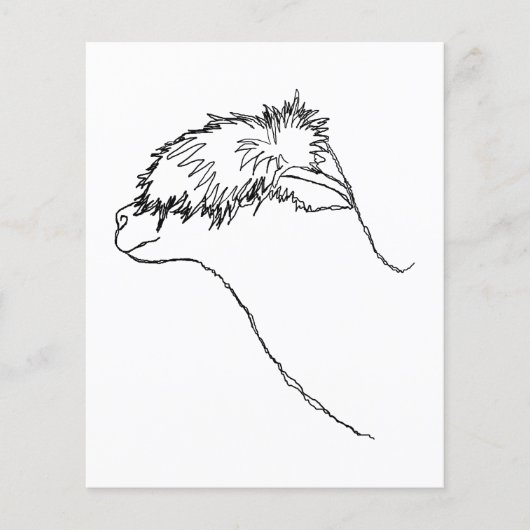 Alpaca Sketch. Flyer (Voorkant)