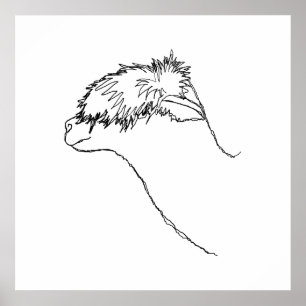 Alpaca Sketch. Poster