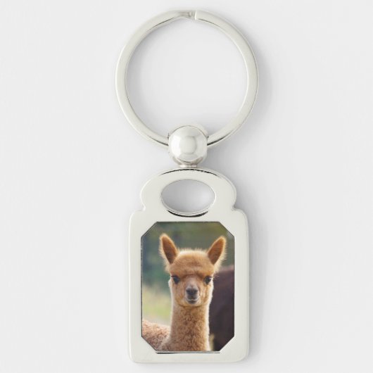 Alpaca-Sleutelhangers Sleutelhanger (Voorkant)