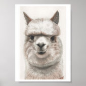 Alpaca Smile Art Print Ready to Framing Miranda (Voorkant)