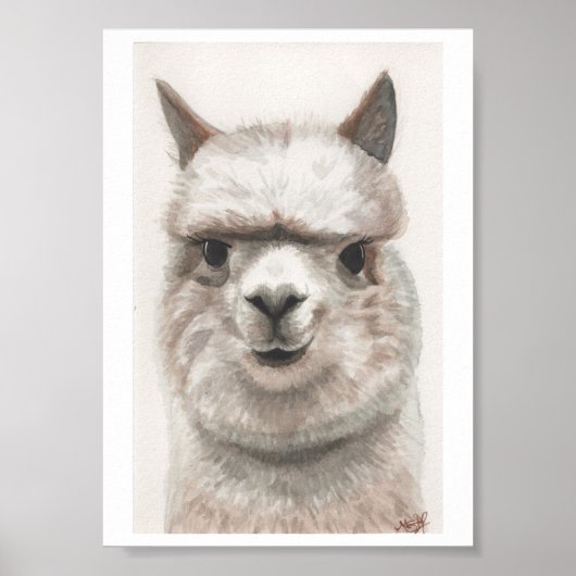 Alpaca Smile Art Print Ready to Framing Miranda (Voorkant)