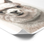 Alpaca Smile Art Print Ready to Framing Miranda (Hoek)