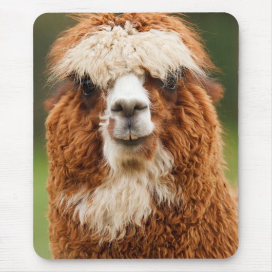 Alpaca Smile Muismat (Voorkant)