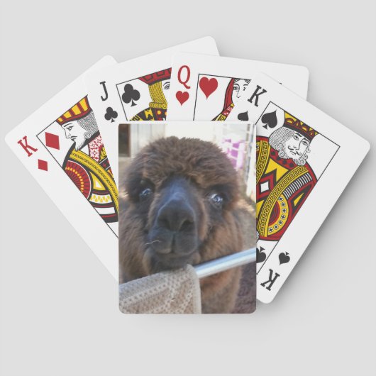 Alpaca-speelkaarten Pokerkaarten (Achterkant)
