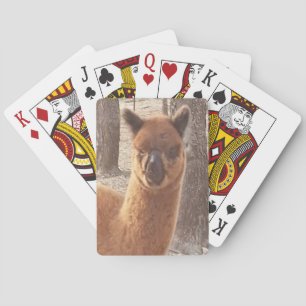 Alpaca-speelkaarten Pokerkaarten