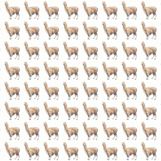 alpaca sticker (Voorkant)