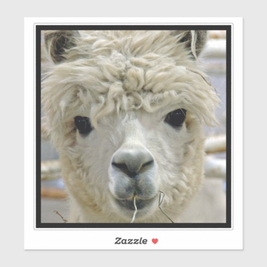 Alpaca Sticker (Vel)
